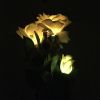 LED Rose Flower Stake Light Solar Energy Rechargeable for Outdoor Garden Patio