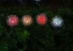 Garden LED Ball Dandelion Flower Stake Light Solar Energy Rechargeable