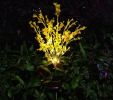 Outdoor Garden Patio Pathway Porch Backyard, LED Canola Flower Stake Light