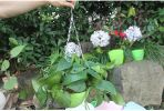 Self-Watering Pot with Drainer Indoor Outdoor Hanging Planter